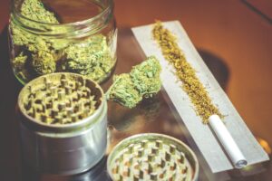 pot joint crime grinder cannabis addiction ganja smoking drug herb wild plant problem leaf herbal t20 XxoXXG